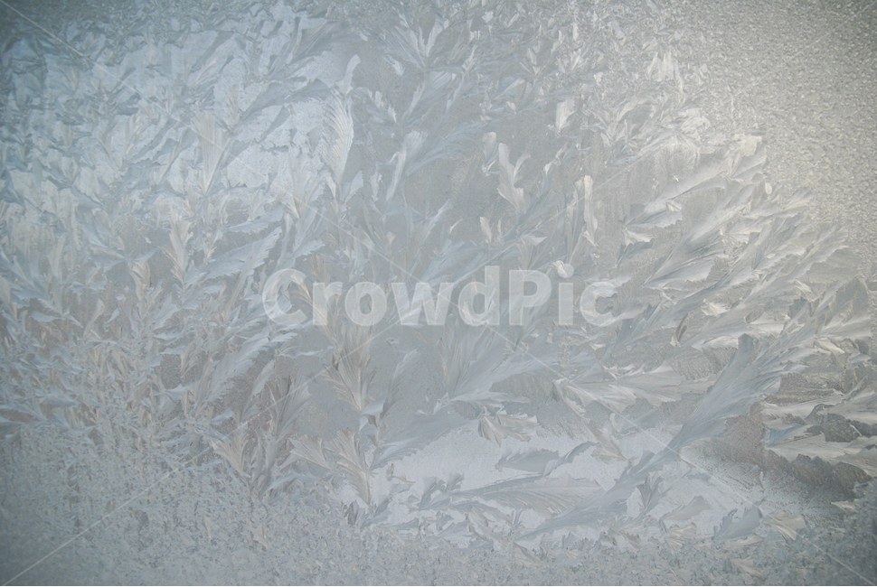 ice,빙,nature,자연,outdoors,유리창얼음,얼음,겨울,계절,winter,season