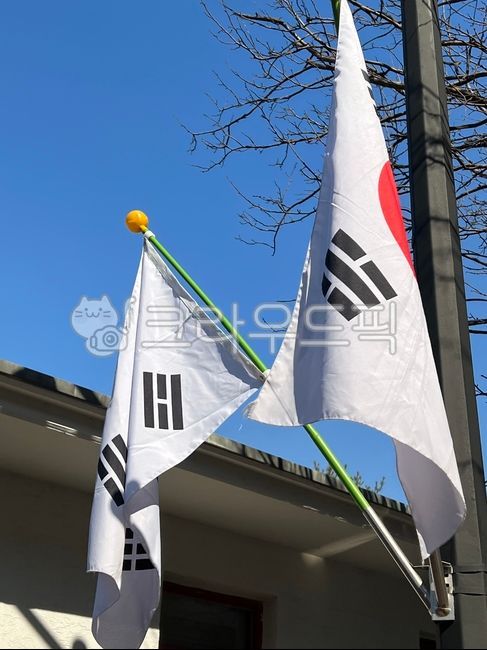 flag,깃발,태극기,31절,삼일절,31운동,대한민국,국기