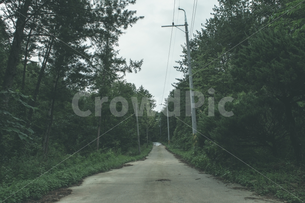 풍경,시골길,적막함,길,비포장도로,시골,강원도,자연,풍경,nature,landscape,한국자연풍경,한국자연경관,korea nature landscape,road,도로,asphalt,아스팔트