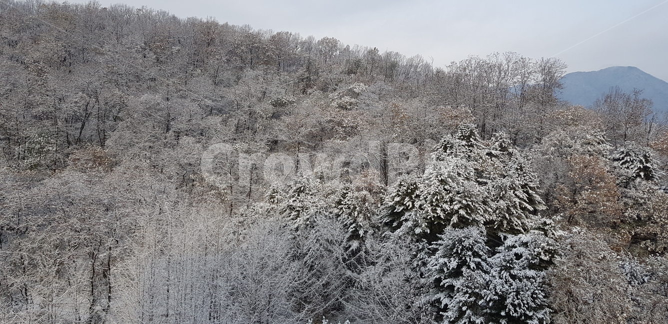 산,눈,나무,설산,함박눈,수리산
