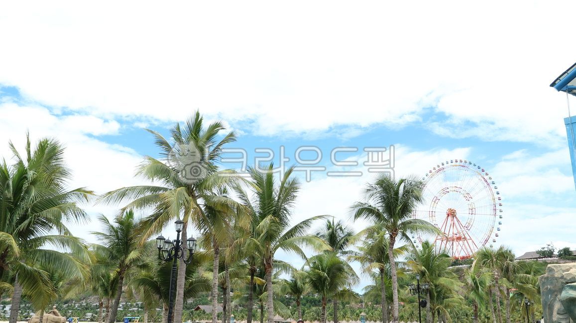 대관람차,빈펄랜드,빈펄랜드마크,나트랑랜드마크,야자수,나무,tree,palmtree