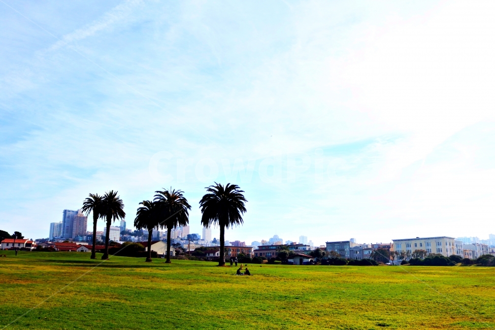 자연,하늘,들판,나무,야자수,캘리포니아,도시,풍경,city,landscape,해외,외국,세계,foreign,oversea,world,세계도시풍경,해외도시풍경,외국도시풍경,world cityscape,grass,잔디,plant,식물,lawn