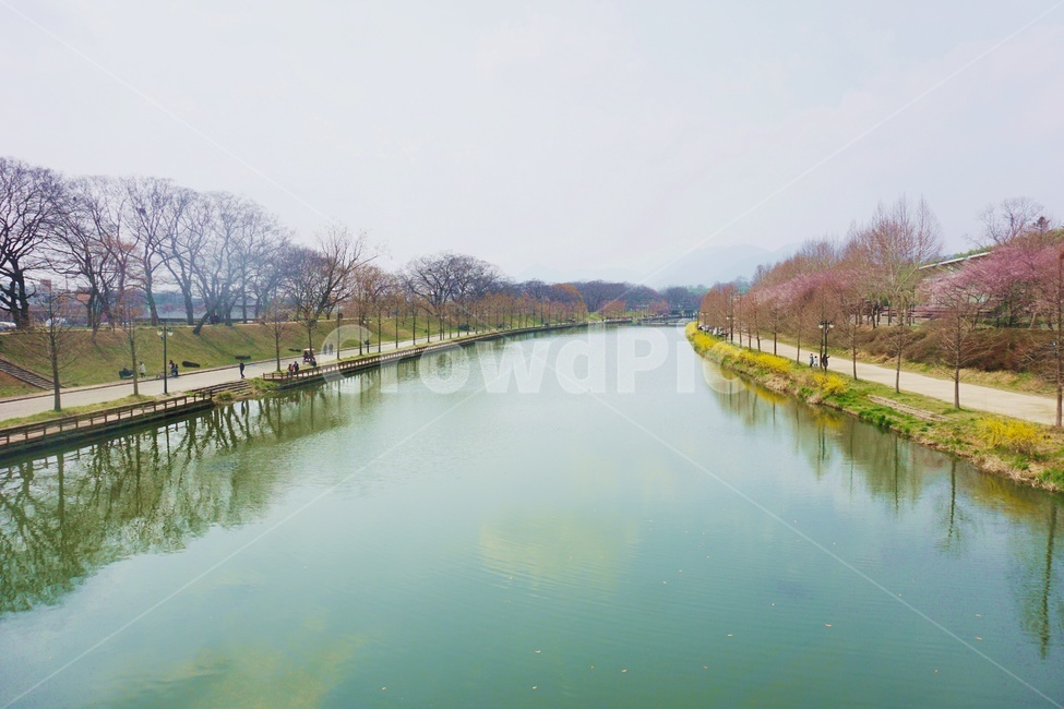 담양,자연,nature,나무,강,옥외,관광지,담양10경,water,물,outdoors,자연,풍경,nature,landscape