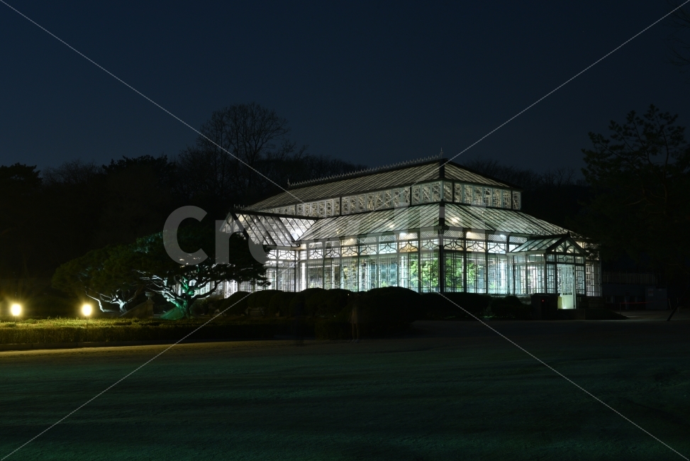 Nikon,D750,서울,창경궁,야간개장,야경,조명,야경,밤,풍경,nightscape,night,landscape,랜드마크,landmark,tourist attraction,building,건물