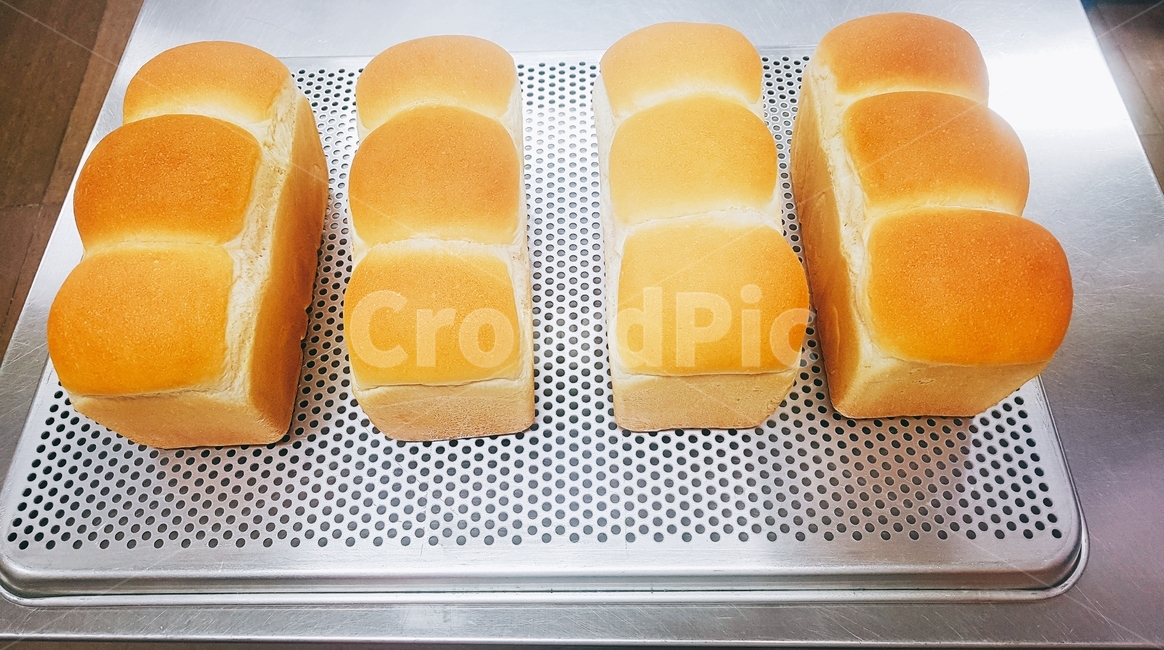 빵,식빵,제빵,음식,베이커리,쿠킹,베이킹,음식,식재료,요리,food,cook,meal,dishes,food reserves,빵,bread