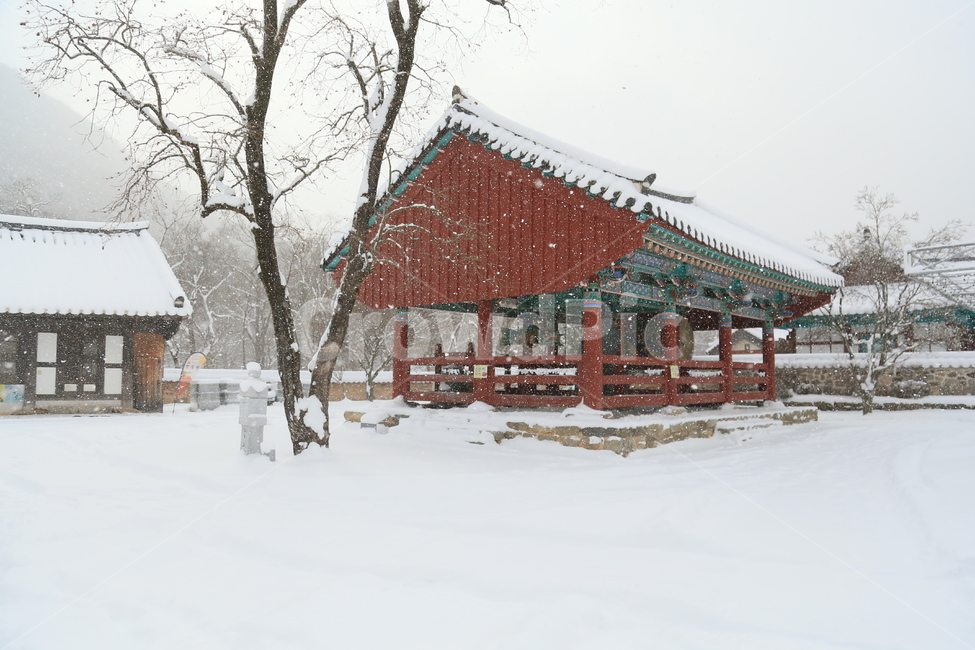 고창,선운사,선운사설경,설경,겨울,눈,겨울,계절,winter,season,한국전통,한국문화,korean traditional,korean culture,종교,신앙,religion,belief,faith,건축물,건물외관,exterior,building,structure,architecture,construction