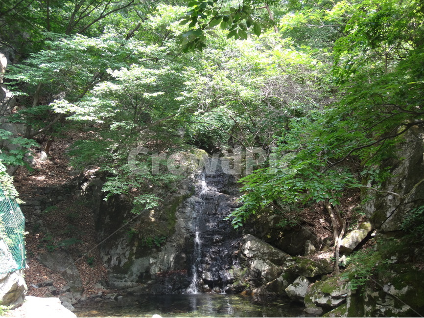 숲속,자연,나무,숲,풍경,자연,풍경,nature,landscape,water,물,outdoors,옥외,river,강