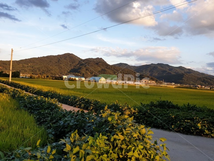 상주,노을,산,자연,가을,자연,풍경,nature,landscape,시골,마을,country,rural,town,field,들,outdoors,옥외,grassland,목초지
