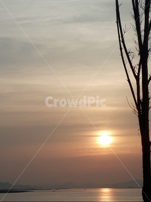 일몰,썬셋,sunset,하늘,해,나무,수평선