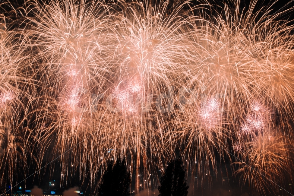 불꽃놀이,불꽃,서울,야경,밤,감성,korea,seoul,firework,야경,밤,풍경,nightscape,night,landscape,축제,행사,festival,carnival,event,nature,자연,outdoors,옥외