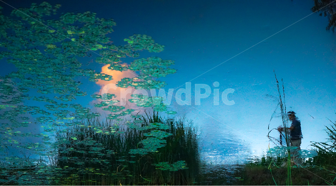 호수,반영,수초,부레옥잠,수생,구름,하늘,투영,자연,풍경,nature,landscape,사람,인물,인간,human,person,남성,남자,man,male,water,물,outdoors,옥외