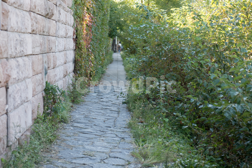 청계천,거리,풍경,길,꽃,자연,풍경,nature,landscape,flagstone,판석,arbour,정자,garden,정원,outdoors,옥외
