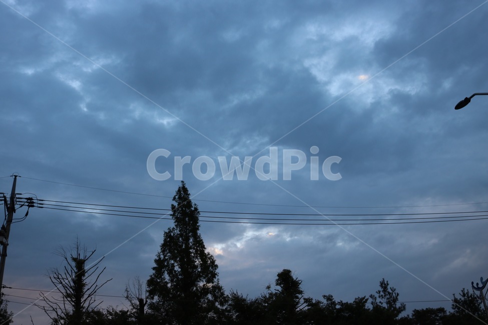 새벽,하늘,자연,나무,식물,구름,전신주,검정,dawn,akatsuki,sky,sora,nature,tree,ki,plants,shokubutsu,cloud,kumo,black,kuro,자연,풍경,nature,landscape,cable,케이블,power lines,전력선