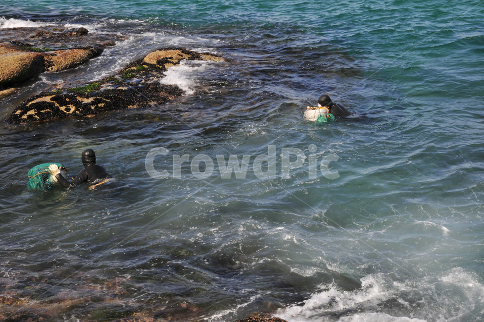 sea,바다,해녀,강원도해녀,물질,잠수,해산물채취