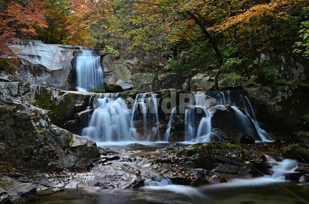 waterfall,폭포,water,물,nature,자연,river,강,outdoors,옥외,plant,식물,leaf,잎,강원도,인제,방태산,방태산폭포,방태산이단폭포,방태산가을,단풍,추색,낙엽,단풍잎,자연,풍경,nature,landscape