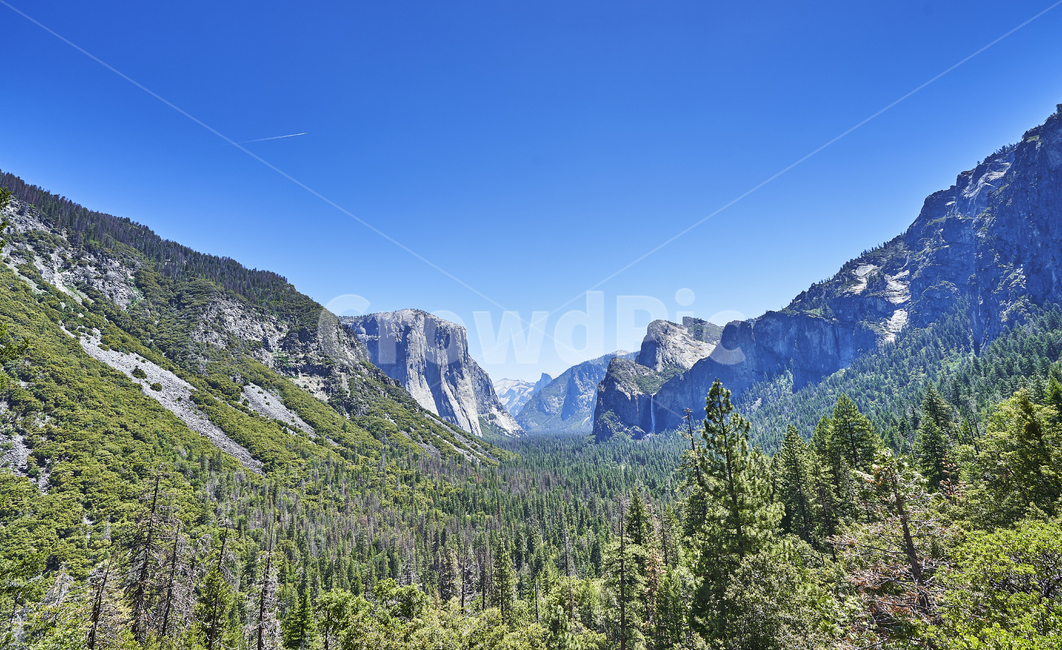 yosemite,요세미티,국립공원,나무,산,풍경,하늘,공원,전망,파노라마,힐링,휴식,자연,풍경,nature,landscape,해외,외국,세계,foreign,oversea,world,세계자연풍경,해외자연풍경,외국자연풍경,world nature landscape,plant,식물,tree,abies,아비,fir,전나무