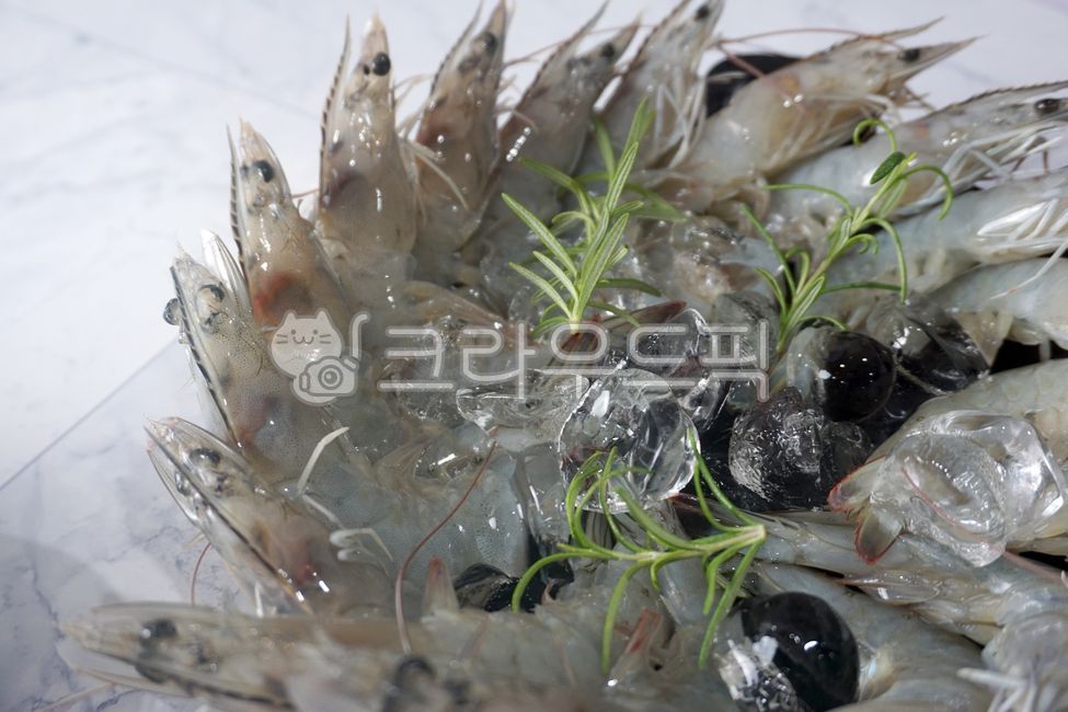 대하,새우,수산물,흰다리새우,새우구이,제철수산물,갑각류,가을,shrimp,prawn,food,seafood,sea,live,cook,grilledshrimp