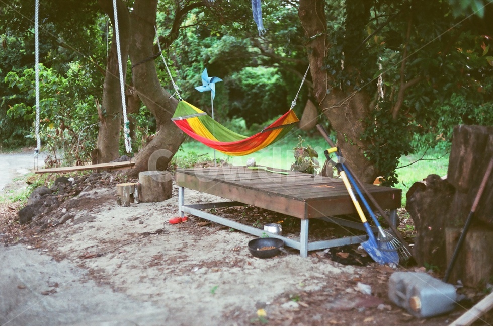 필름,제주,해먹,쉼터,나무,감성,sensible,feeling,휴식,힐링,rest,relaxation,healing