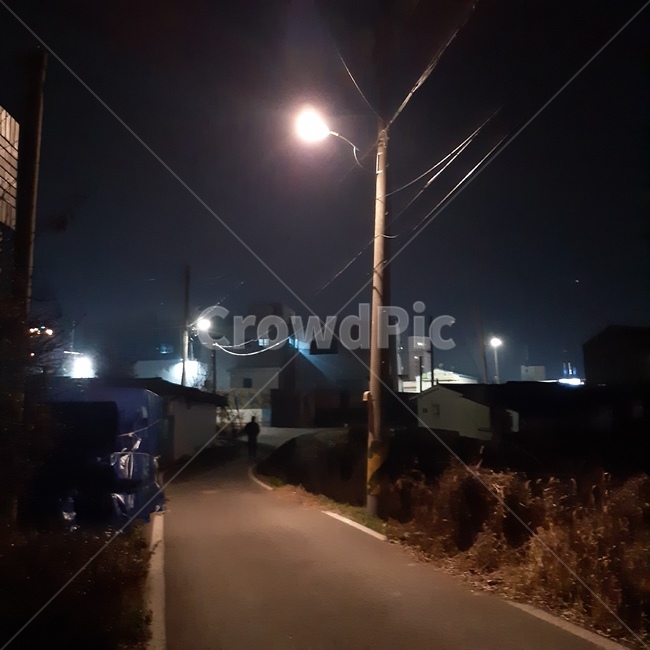 밤,골목,시골,가로등,불빛,전봇대,도로,저녁,겨울