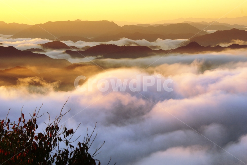 일출,운해,풍경,대청호,구룡산,자연,풍경,nature,landscape,한국자연풍경,한국자연경관,korea nature landscape,flare,플레어,light,빛,weather,날씨,outdoors,옥외