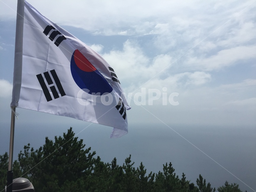 태극기,하늘,울릉도,국내,나무