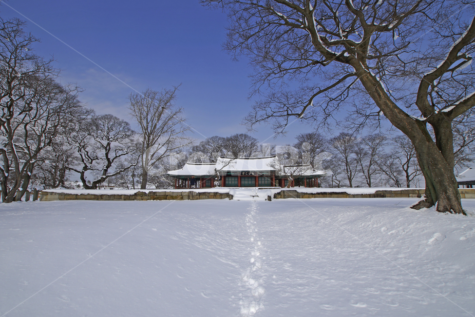 설경,고창군,문화재,눈,겨울,겨울,계절,winter,season,자연,풍경,nature,landscape,한국자연풍경,한국자연경관,korea nature landscape,outdoors,옥외