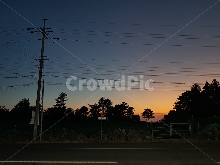 도로,전봇대,하늘,해질녘,노을,나무,자연,제주,전깃줄,road,분위기,자연,풍경,nature,landscape