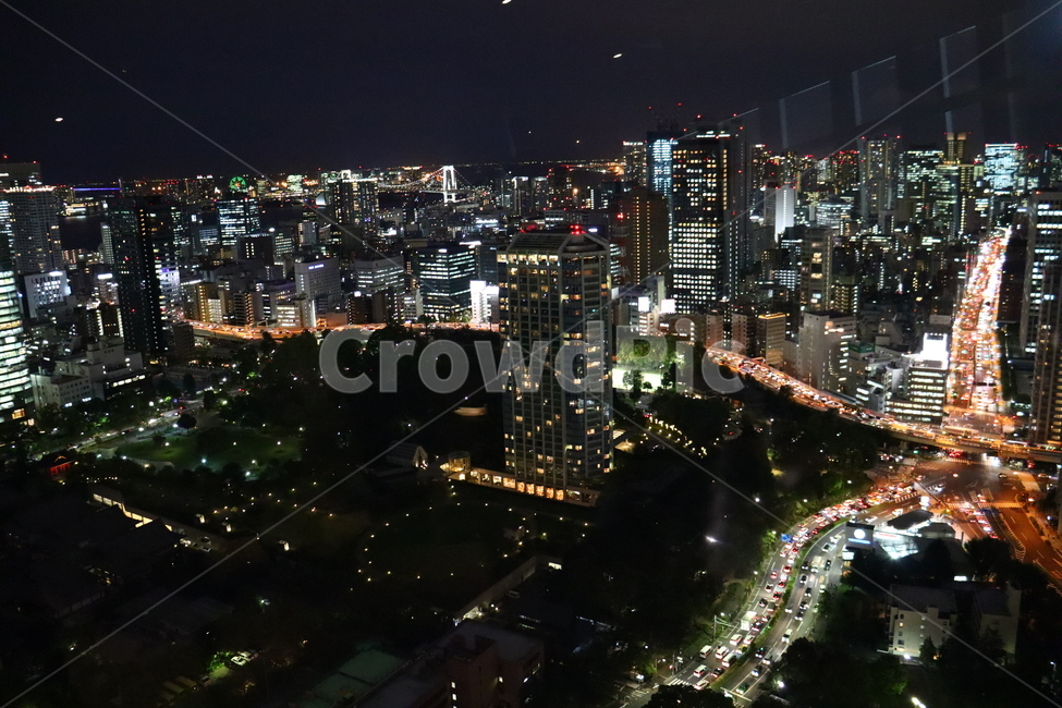 도쿄,일본,tokyo,japan,건물,도시,시티,city,중심지,야경,밤,풍경,nightscape,night,landscape,도시,city,해외,외국,세계,foreign,oversea,world,세계도시풍경,해외도시풍경,외국도시풍경,world cityscape,경치,nature,자연,outdoors,옥외,scenery,aerial view,조감도