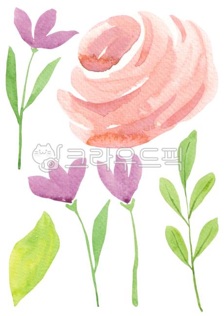 pink,Rose,branch,spring,spring flowers,botanical,drawing,season,drawn,hand,floral,green,handwork,nature,leaf,flower,watercolor,painting,background,plant,illustration,rose,Watercolor