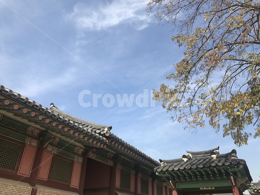 한국,전통,하늘,구름,가을