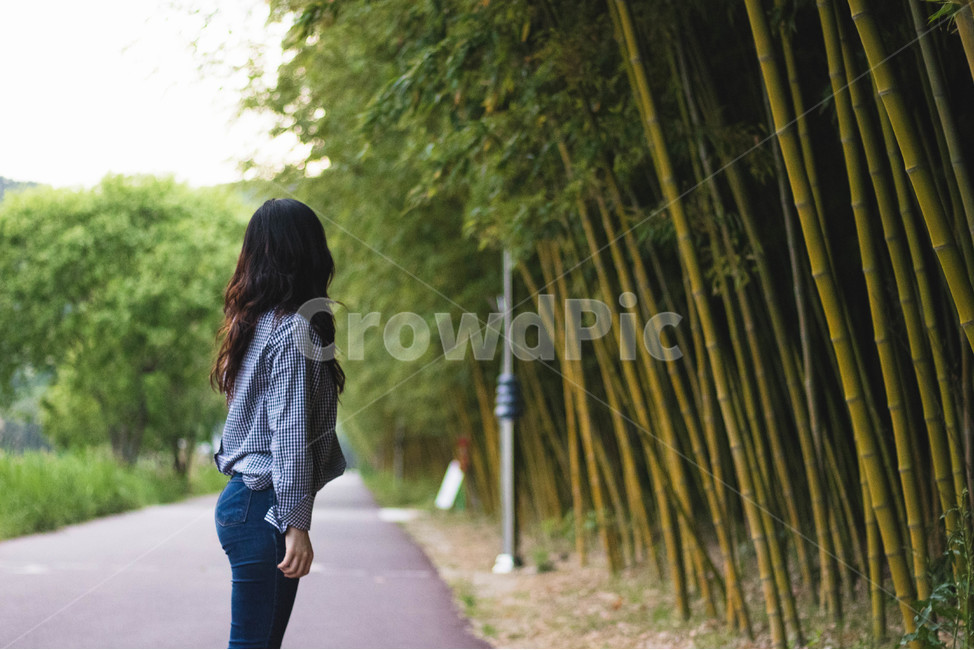 뒷모습,사람,대나무,길,따뜻함,가을,autumn,warm,road,bamboo,mood,fall,자연,풍경,nature,landscape,사람,인물,인간,human,person,여성,여자,woman,female,lady,pants,바지,walking,보행