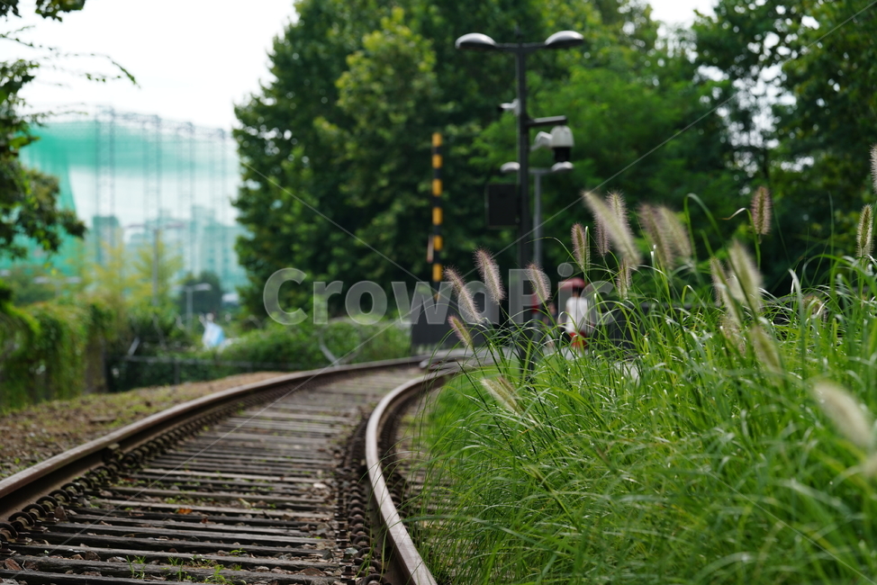 철길,레일,rail,길,철,기찻길,교통,transportation,railway,교통,교통수단,traffic,transportation