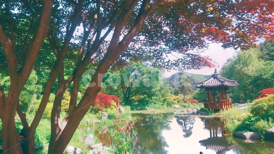 풍경,한국,여름,연못,정자,sky,하늘