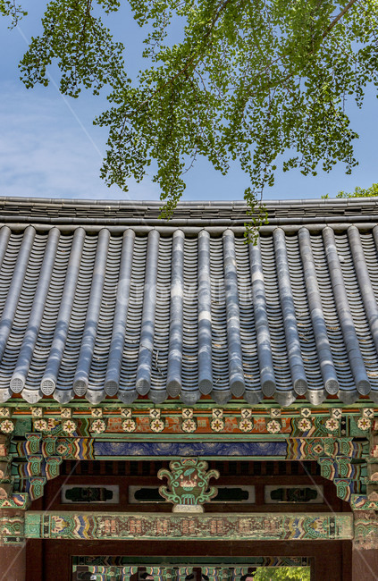 한옥마을,경기전,문화유적,문화재,기와,전통건축물,고건축,랜드마크,관광지,단청,한국전통,한국문화,korean traditional,korean culture,건축물,건물외관,exterior,building,structure,architecture,construction