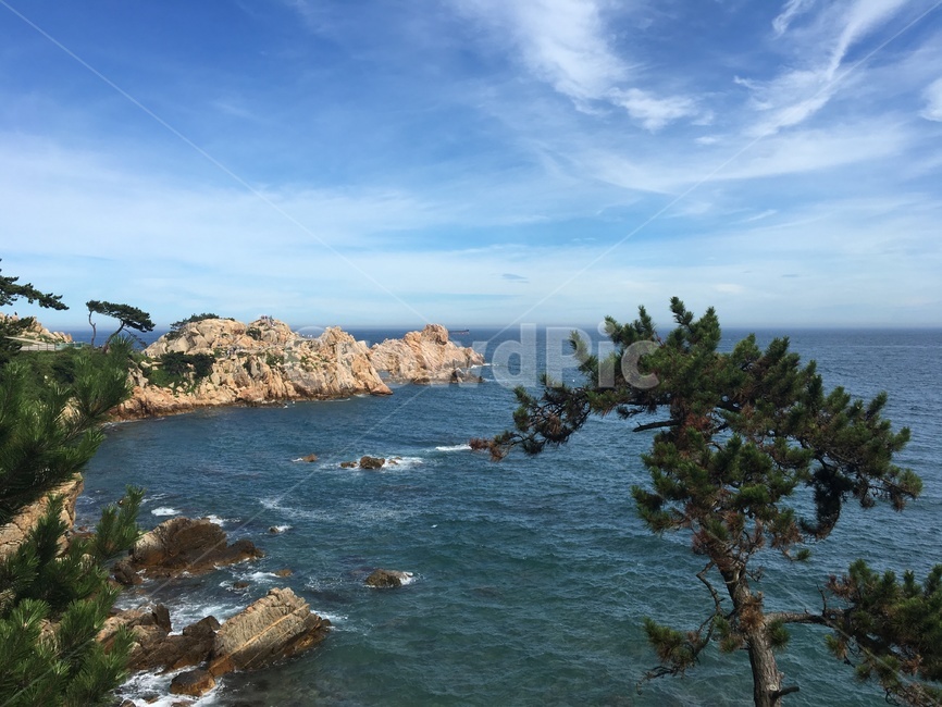 promontory,곶,land,nature,물,water,옥외,outdoors,자연,sea,바다,ocean,대양,울산,대왕암공원,하늘,sky,소나무,ulsan,한국풍경,풍경,landscape,바위,절경