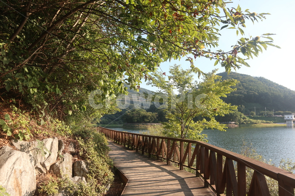 railing,난간,풍경,날씨,자연,강,나무,산책,조깅