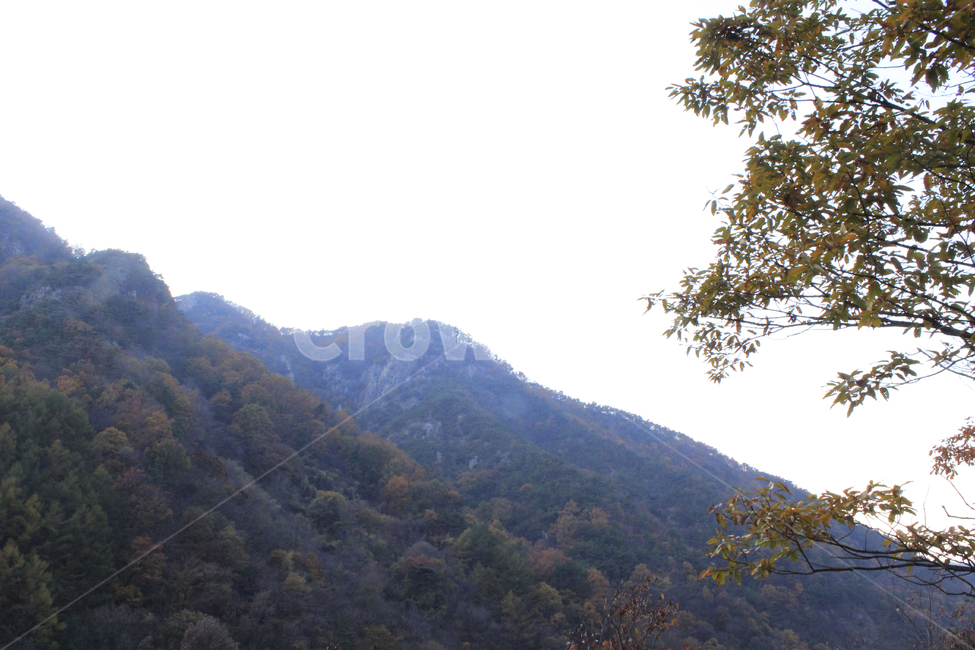 가을,낙옆,단풍,다채로운,산맥,산,등산