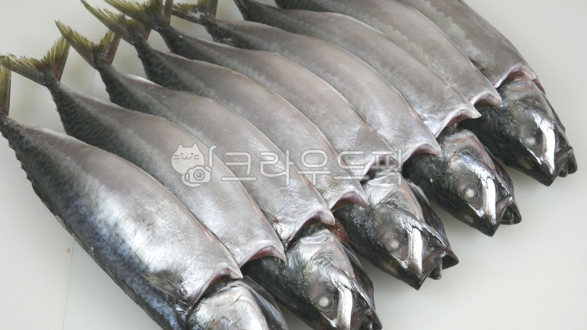 간고등어,자반고등어,고등어,수산물,냉동수산물,어류,생선,큰고등어,큰고등어,어류,물고기,fish