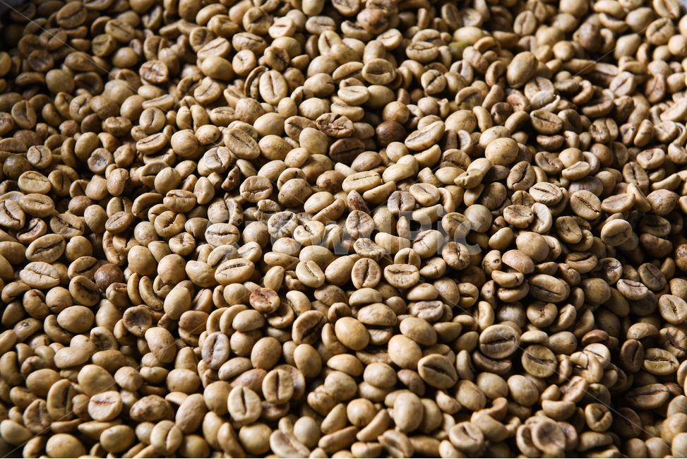 원두,로스팅,커피콩,커피,생원두,커피,카페,coffee,cafe