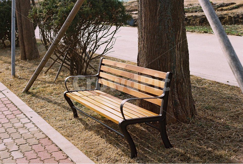 벤치,오후,나무,잔디,휴식,휴식,힐링,rest,relaxation,healing