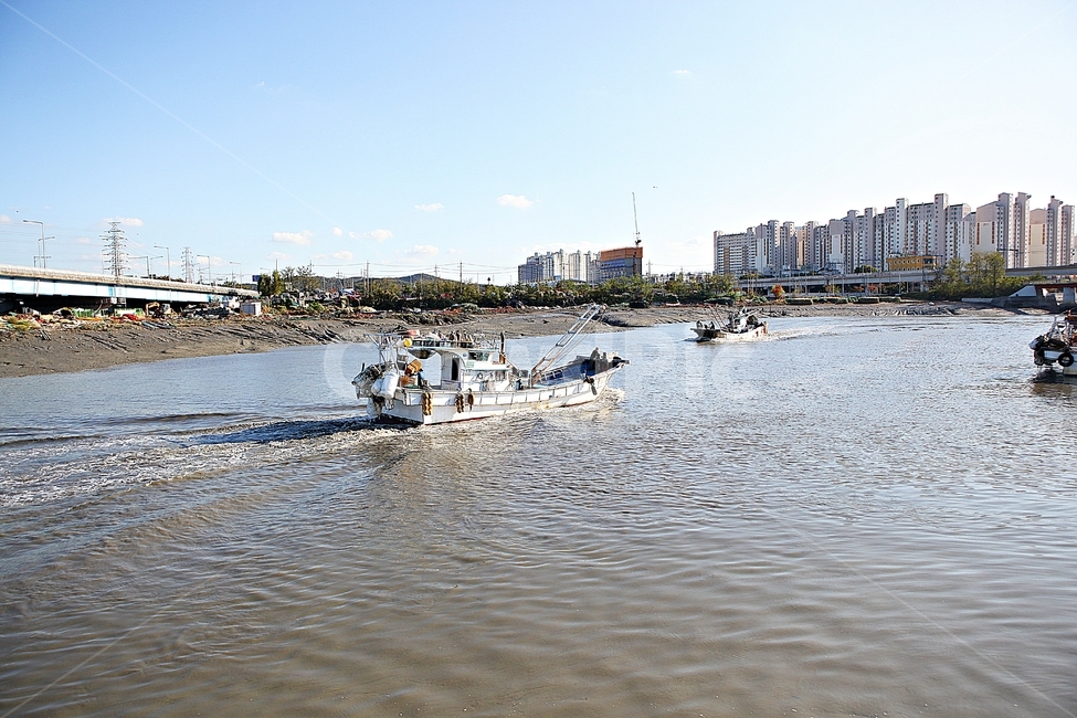 배,어선,선박,바다,고기잡이,어업,난업,파도,물,물살,풍경,자연,어업,fishery,fishing industry
