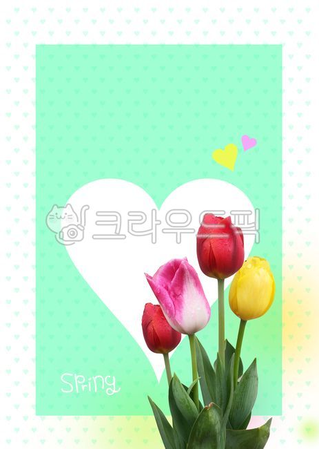 spring,spring flowers,Tulip,tulip flower,yellow flower,pink flower,heart,red flower