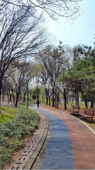 공원,길,산책로,산책,걷기,트랙,나무,풀,운동,풍경,식물,자연,plants,nature,자연,풍경,nature,landscape,path,통로