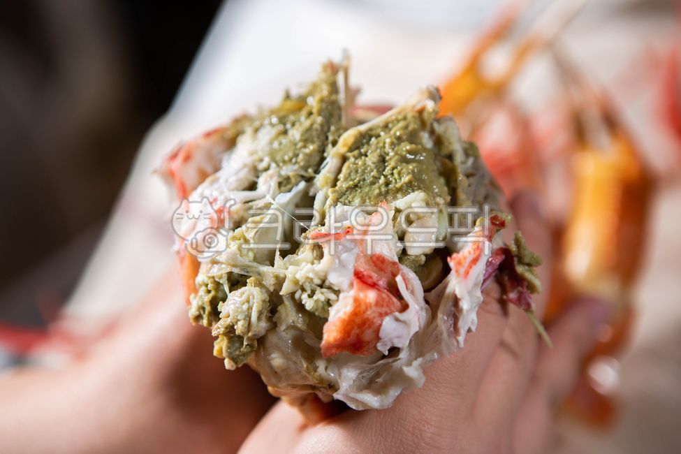 러시아대게,대게,홍게,대게찜,대게장,대게살,대게요리,해산물,음식,식재료,요리,food,cook,meal,dishes,food reserves