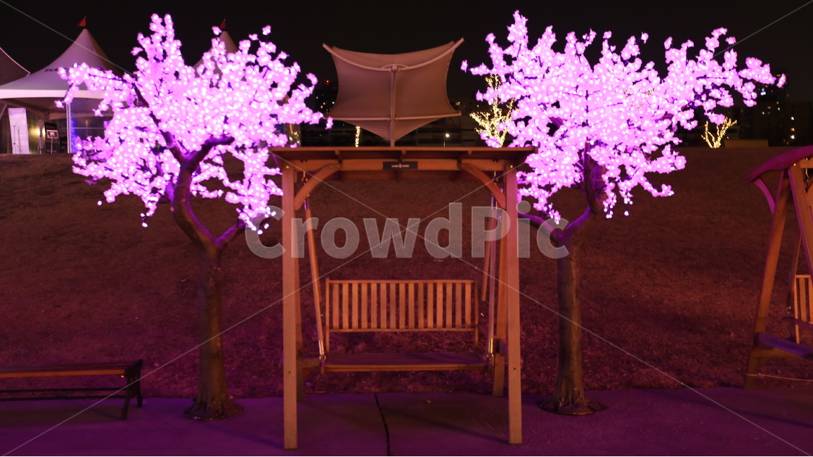 벚꽃,인조벚꽃,풍경,불빛,야경,야경,밤,풍경,nightscape,night,landscape,plant,식물,flower,꽃,blossom