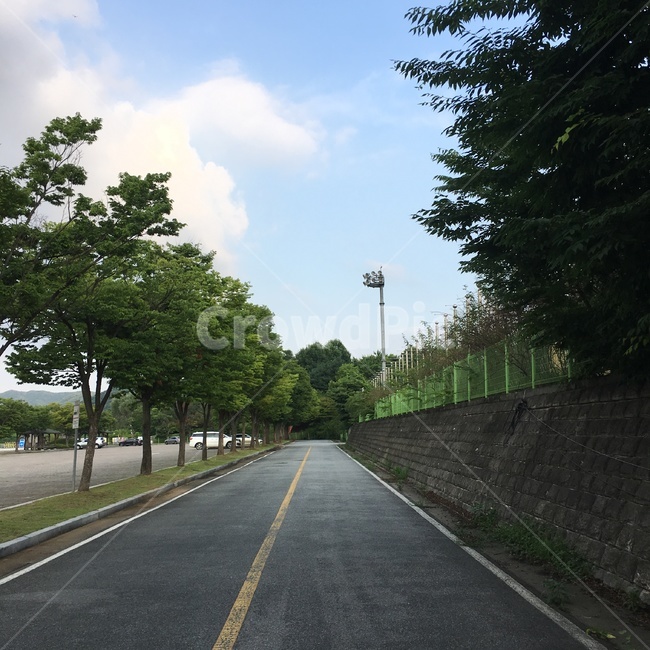 도로,아스팔트,asphalt,road,freeway