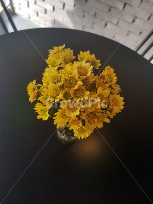 꽃,노란꽃,꽃병,화병,인테리어,꽃,flower,실내용화초,화분,화초,house plant