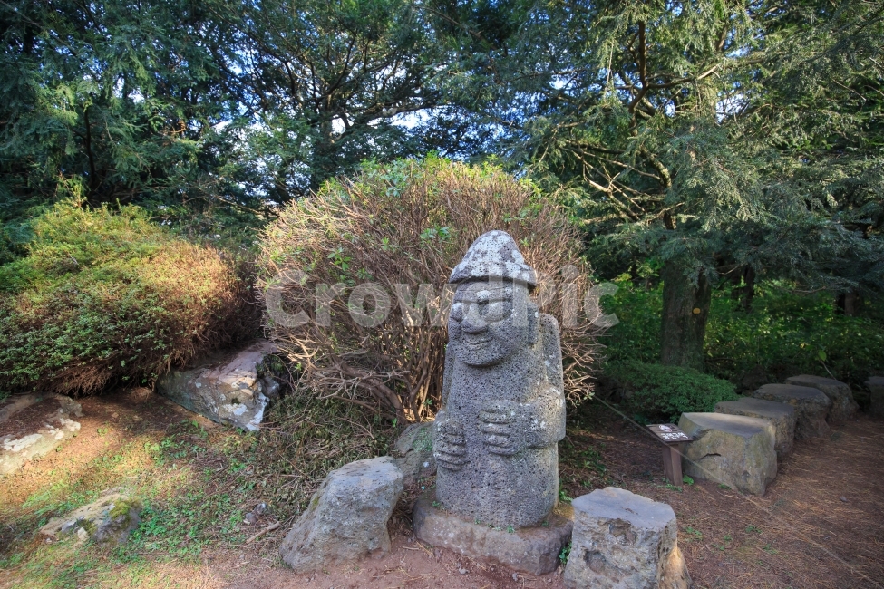 돌하루방,제주도,하루방,성기,비지림,숲,숲속,자연,풍경,제주,명물,자연경관,비자,공원,제주도,jeju,jeju island,조각상,동상,석상,조형물,statue,bronze statue,stone statue