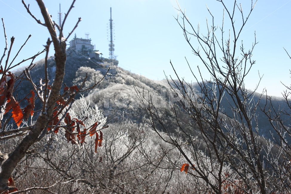 겨울산,상고대,나무얼음,어름나무,등산,어름산