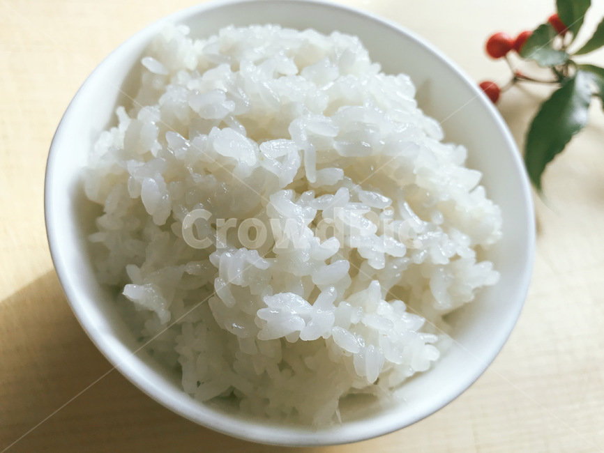 밥,쌀,벼,식품,rice,food,korearice,흰쌀,백미,음식,식재료,요리,food,cook,meal,dishes,food reserves,곡류,곡식,cereals